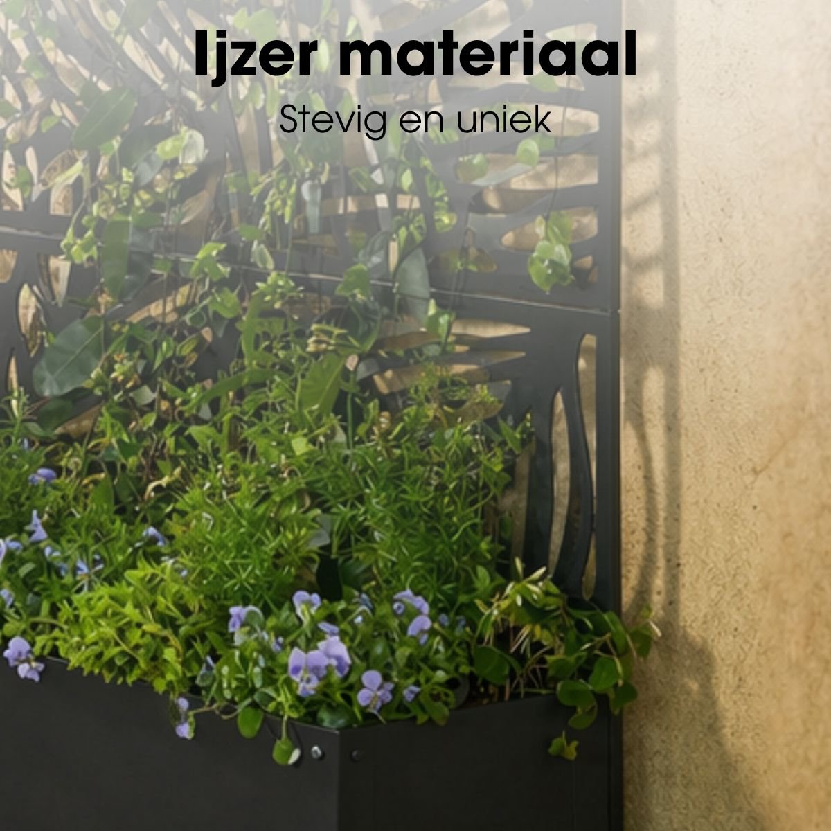 Image de diapositive