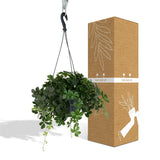 Parthenocissus Striatha Hang - Vigne vierge - Ø15cm - ↕15cm