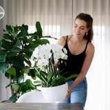 Cache-pot en céramique blanche à motif miel
