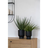 Plante décorative en plastique, ambiance intérieure