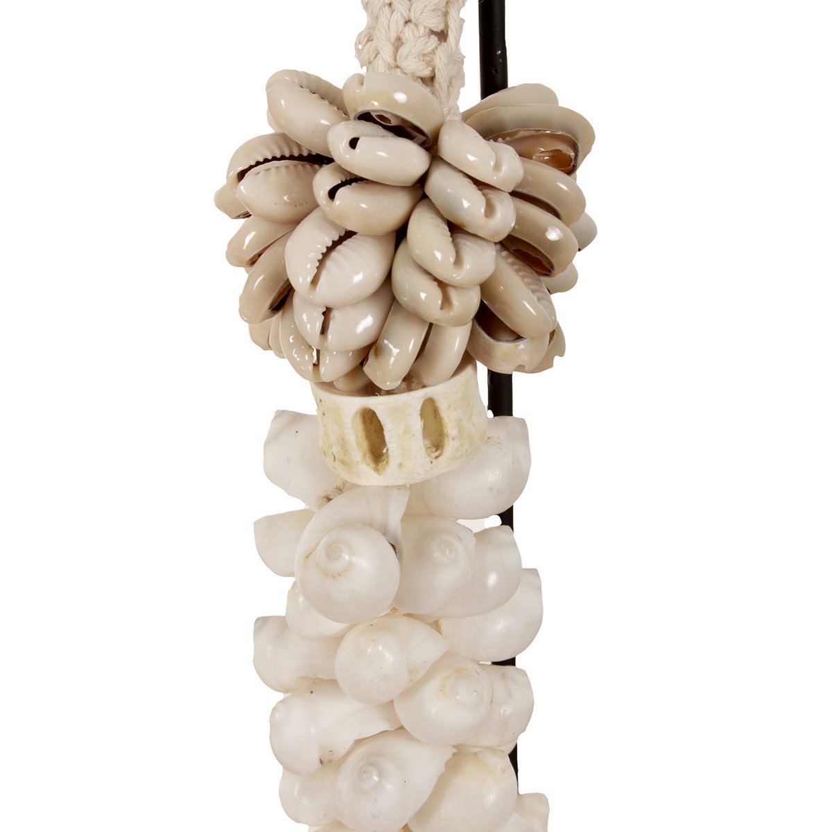 Détail du collier de coquille J63, mettant en avant les coquillages polis