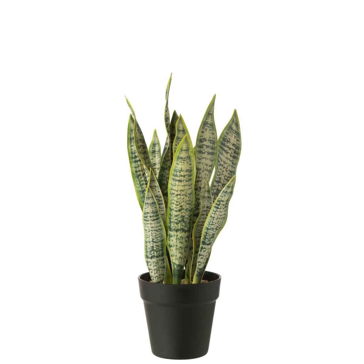 Dracaena Trifasciata en pot artificiel vert - vue d'ensemble