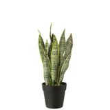 Dracaena Trifasciata en pot artificiel vert - vue d'ensemble