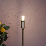Lampe filamentale à LED 6 set avec e14 version 4 watts, en métal et en verre, clair