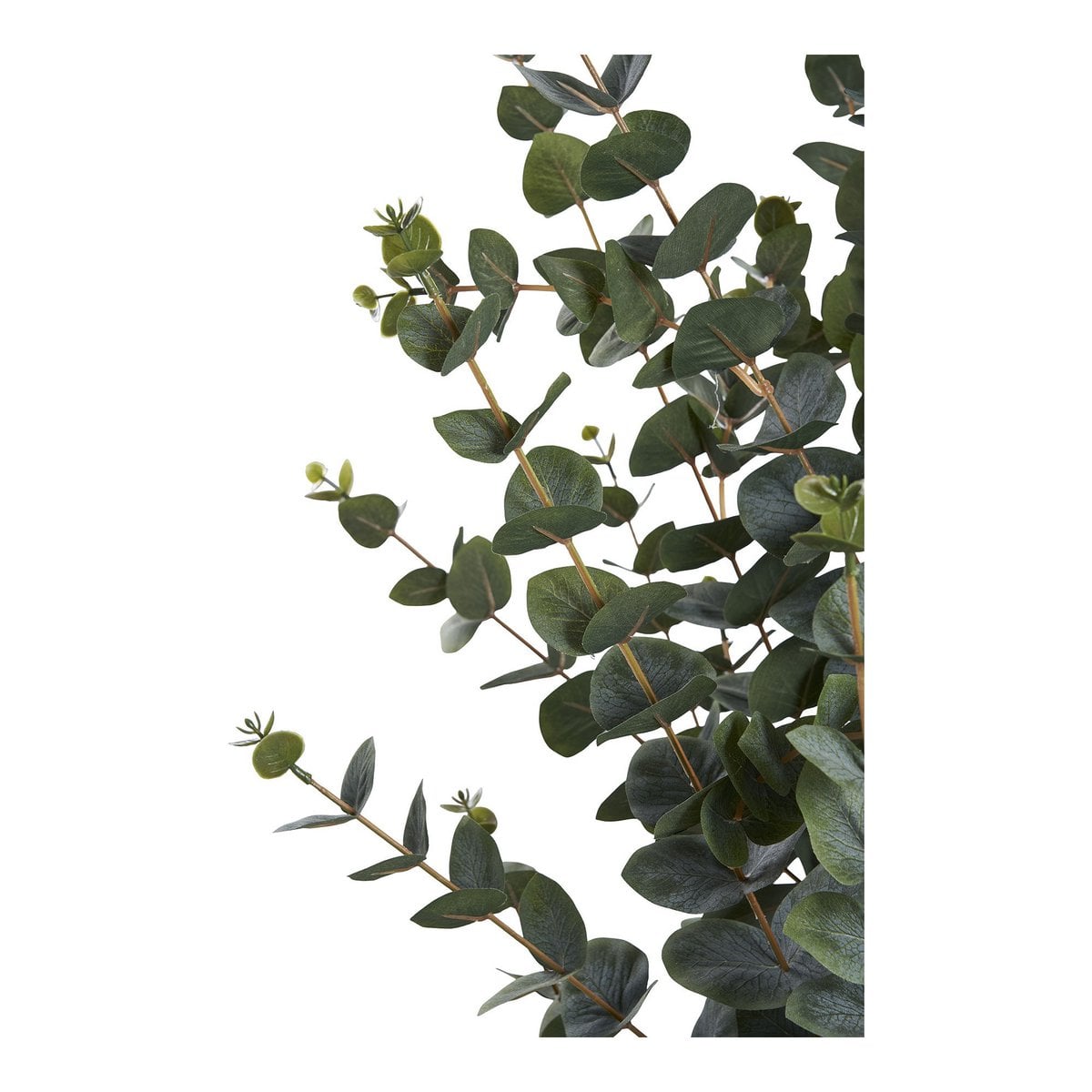 Feuillage réaliste de l'eucalyptus artificiel