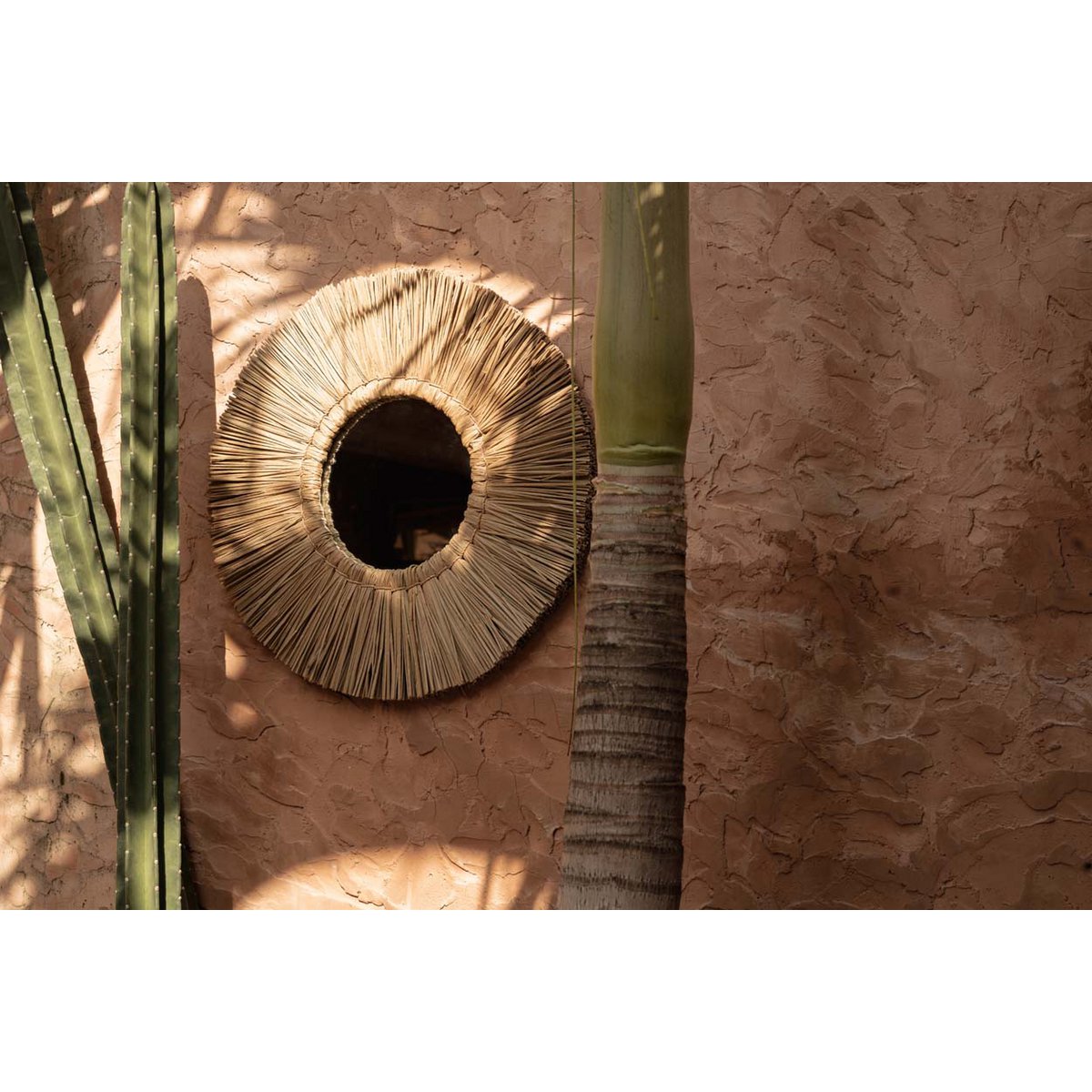Image de diapositive