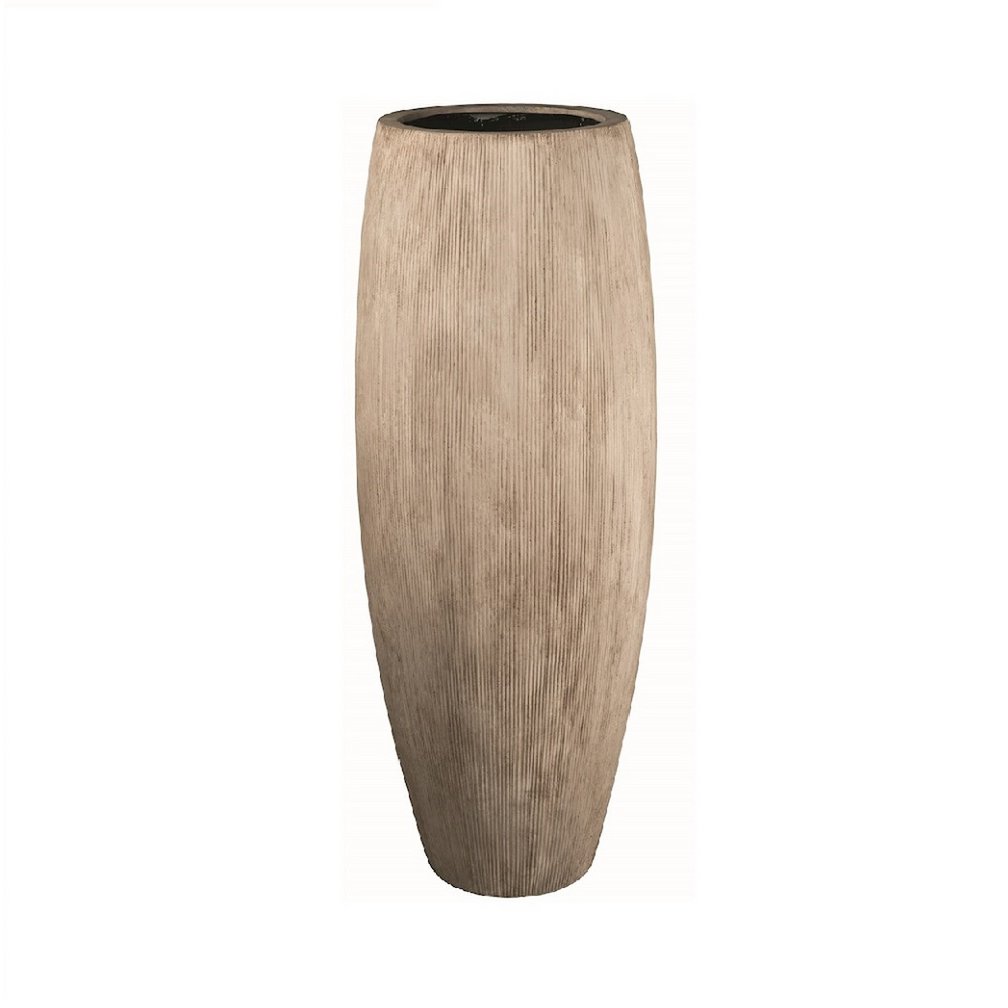 Image de diapositive