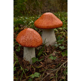 Décoration J-Line Champignon - magnésium - orange - lot de 3