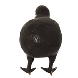 H28 Kiwi Oiseau M