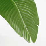 Plante artificielle Vert