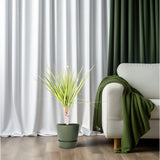 Dracaena Sunray Single Stam - Ø12cm - ↕50cm