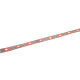 La LED "Stripe" extérieure 1000 cm, 36 watts, blanc chaud, avec changeur de couleur, dimmable, y compris la télécommande et les accessoires