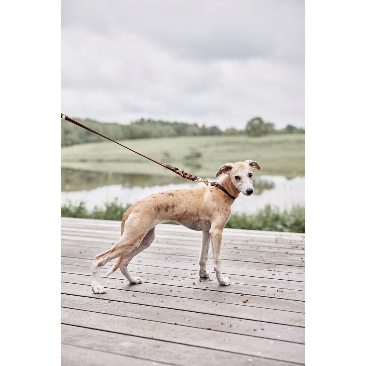 Image de diapositive