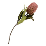 Gros plan sur les pétales du Bouquet King Protea