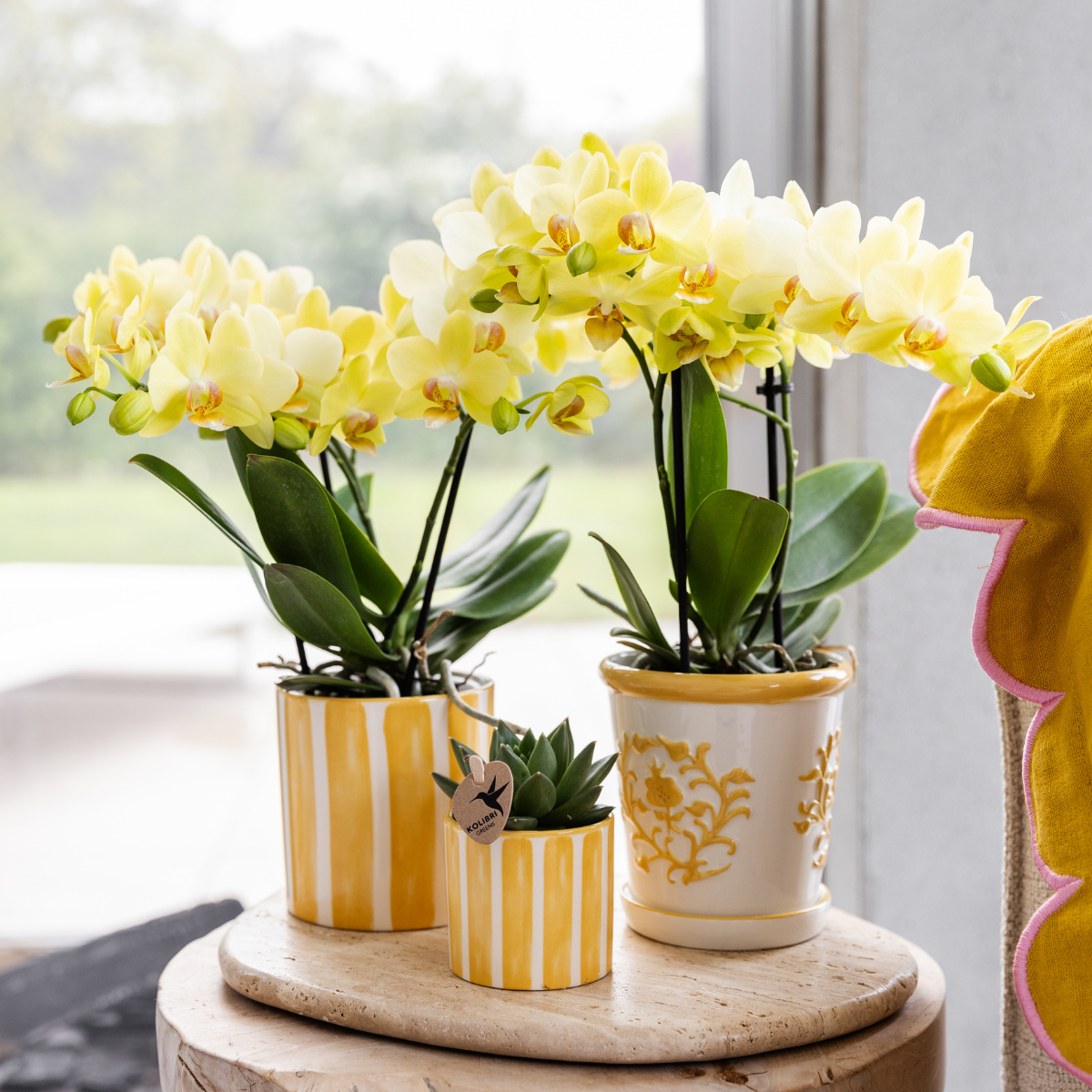 Maison Colibri | Rayure peinte - Jaune - Ø6cm