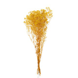 Gypsophilia séchée jaune de J-Line, mise en scène dans un salon élégant