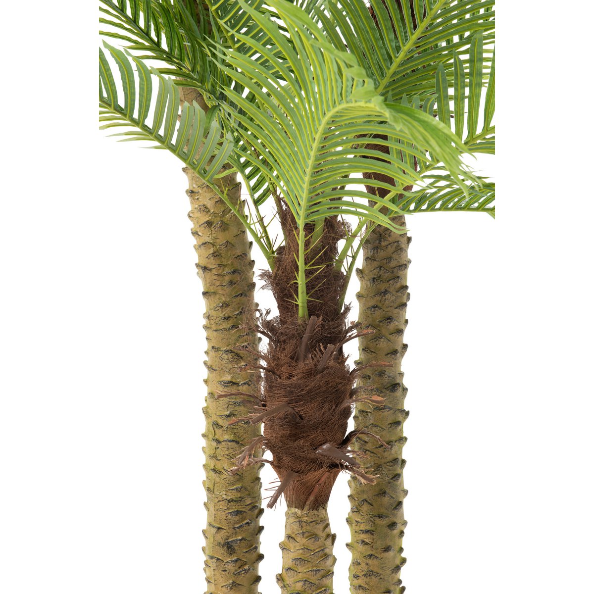Détail des feuilles Real Touch du palmier J-Line