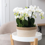 Panier en coton blanc tressé