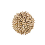 Le Gody Ball ravi - S