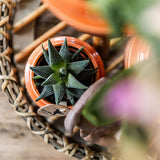 Maison Colibri | Bol décoratif - Plateau rond en saule Ø30cm