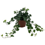 Vase Honora Helix 'Wonder' en céramique naturelle, diamètre 13 cm