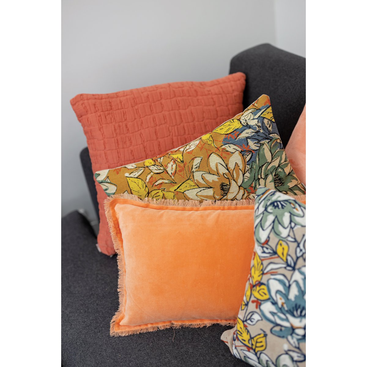 Image de diapositive