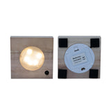 Clusia en verre Samoa avec éclairage LED - Ø4cm - ↕10cm