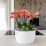 Bol à miel avec bouquet d'orchidées orange et plantes vertes
