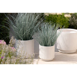 Pots de fleurs Misty J-Line en extérieur - ambiance moderne
