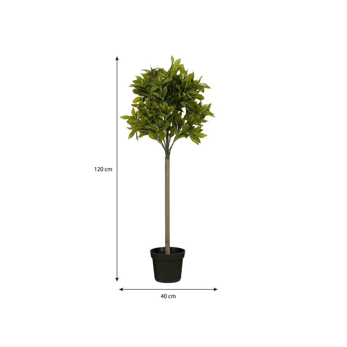 Détail des feuilles vert foncé de la plante laurier artificiel