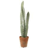 Détail du cactus J-Line, texture réaliste et couleur vive