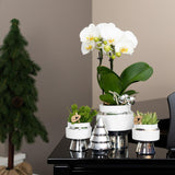 Pot de fleur en céramique blanche détails argentés