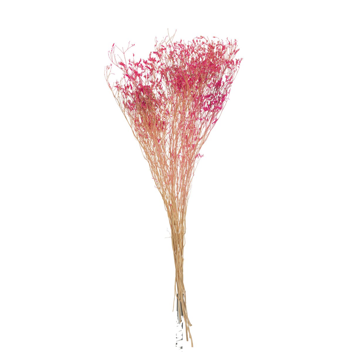 Bouquet de gypsophilie fuchsia J-Line sur fond blanc