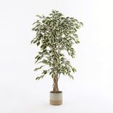 Plante artificielle Ficus Vert