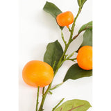 Branche d'art Orange