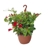 Panier de suspension de Sundaville Tricolor - Ø25 cm - ↕50cm