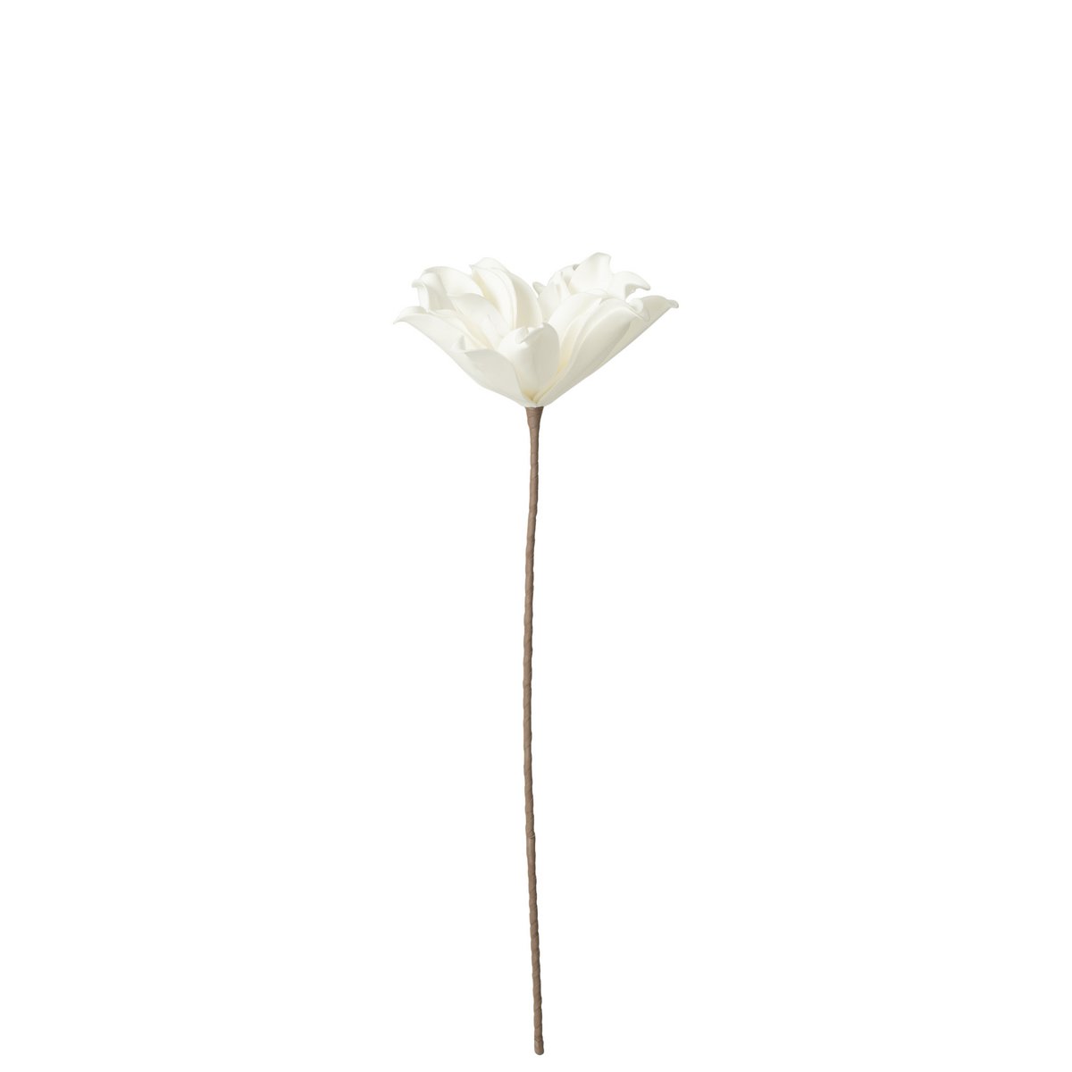 Ambiance intérieure avec la branche de fleur J-Line