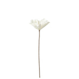 Ambiance intérieure avec la branche de fleur J-Line