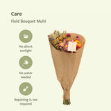 Bouquet de champ 12x Multi - Bouquet sec - 35 cm - Ø15