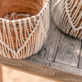 Panier ORIS rempli de plantes vertes sur une table en bois