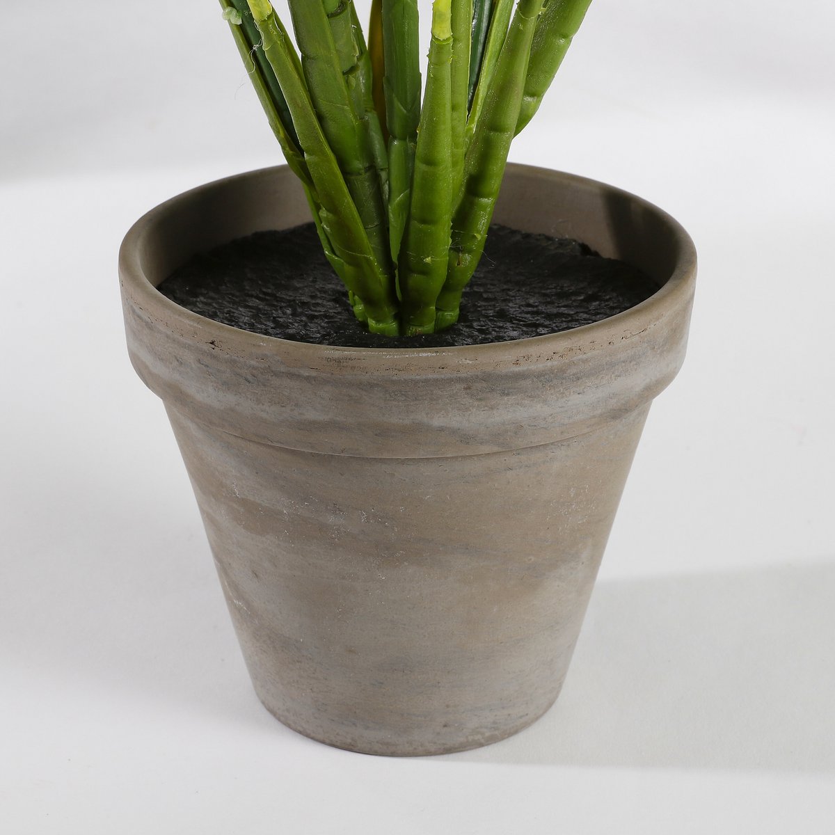 Détails du pot en terre cuite de la plante artificielle Evergreen