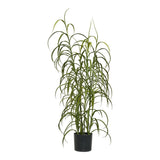 Plante herbacée verte H:68 cm avec feuilles luxuriantes