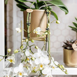 Maison Colibri | Support à plantes - Support à plantes en métal doré Ø12cm