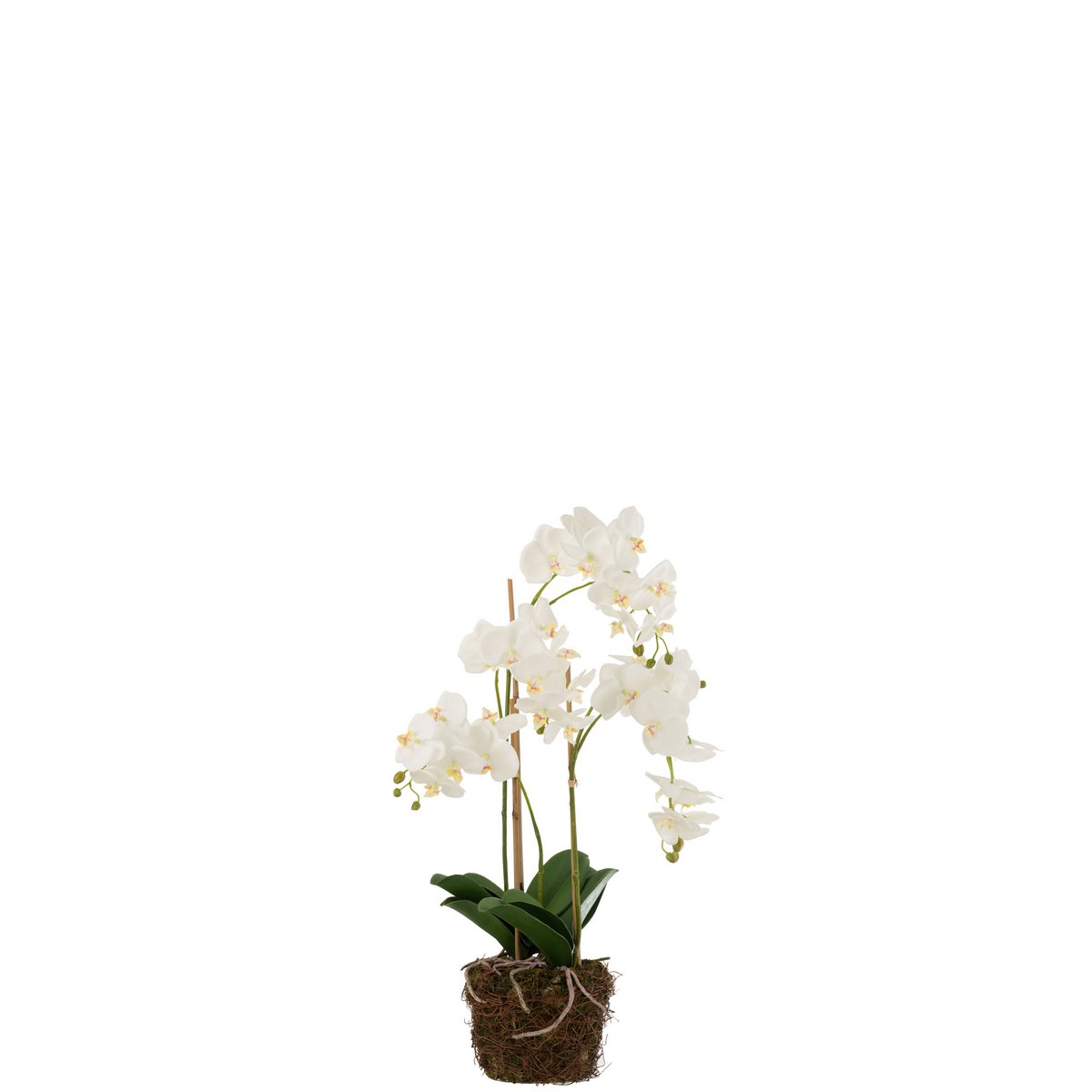 Orchidée artificielle J-Line, vue en situation dans un salon moderne