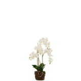 Orchidée artificielle J-Line, vue en situation dans un salon moderne