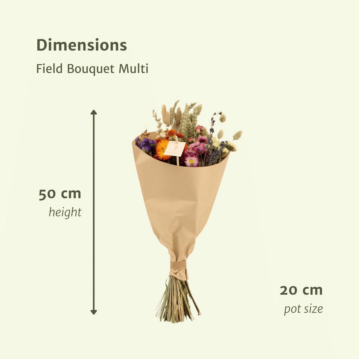 Bouquet de champ de fleurs sèches Multi - Ø20 - ↨50cm