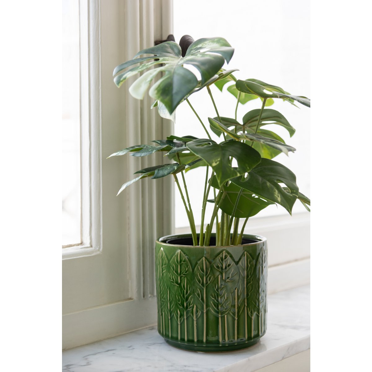 Vue rapprochée de la Monstera J-Line, détails réalistes et modernes.