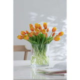 Bouquet de Tulipes Orange J-Line sur fond blanc, vue d'ensemble