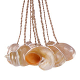 Le pompon en coquille de conque - Naturel