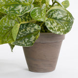 Plante artificielle suspendue Scindapsus Vert